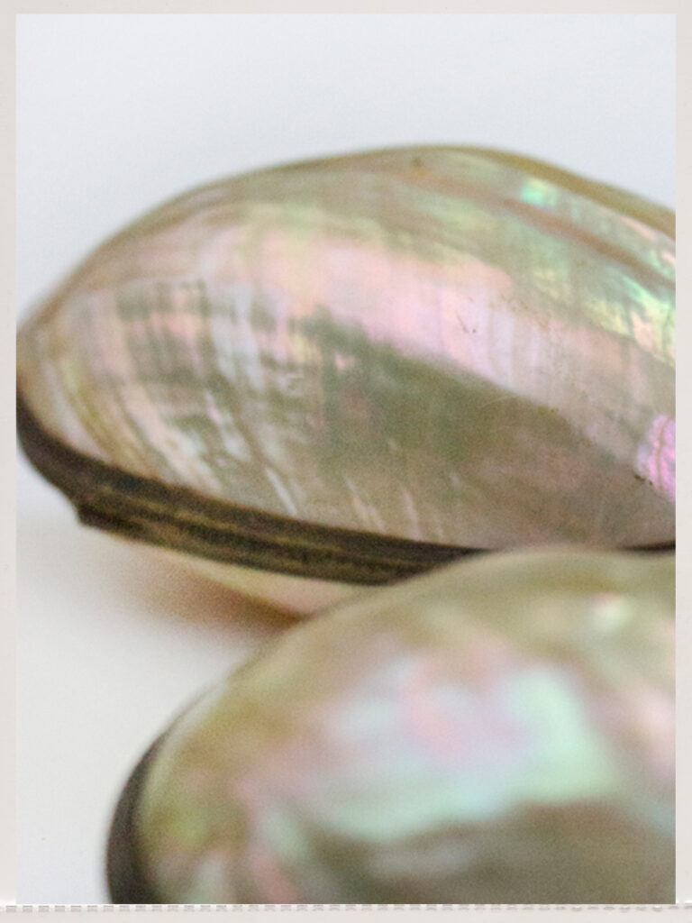 Product Styling + Photography